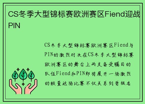 CS冬季大型锦标赛欧洲赛区Fiend迎战PIN